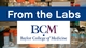 From the Labs at BCM
