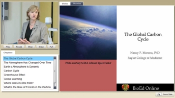 The Global Carbon Cycle | BioEd Online