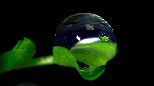 Matter and Energy Flow