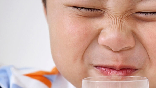 The Brain and Five Senses