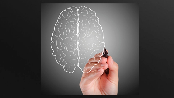 Brain and Behavior