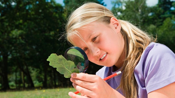 Nature of Science