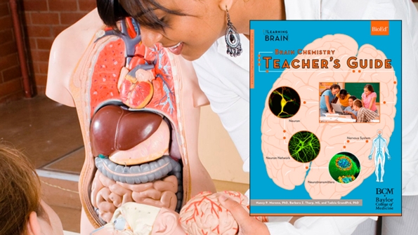 Teacher Guides