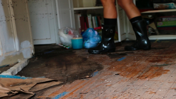 Hurricane Harvey Recovery
