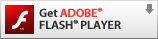 Adobe Flash Player icon