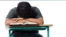 Thumbnail Image for Investigating Sleep