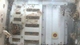 Time-Lapse Video of a Painted Lady Butterfly