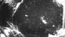 Thumbnail Image for Metepeira labyrinthea: Spiders in Space Pilot 2008