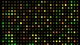 Molecular Basis of Heredity: Part 4. Gene Identification and Tests