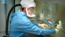 And Now, What Do You Know About Microbes? (post-assessment)