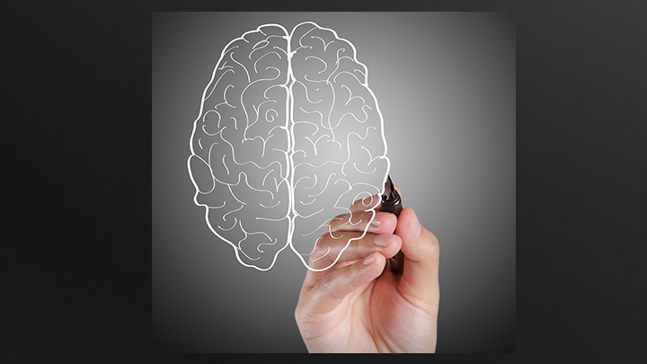 Brain and Behavior