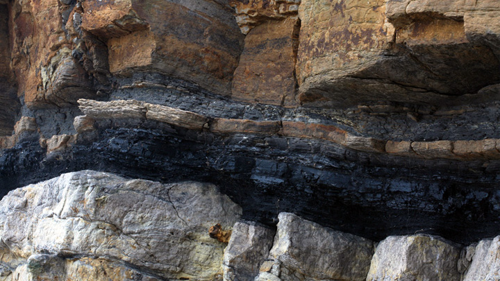 Fossil Fuels and the Carbon Cycle | BioEd Online